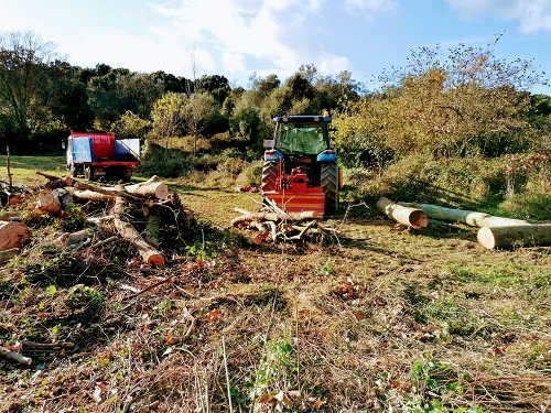 NETEJA FORESTAL